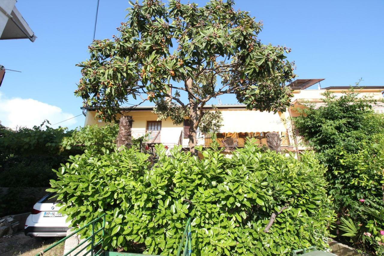Apartment Agnese Rovinj Eksteriør bilde